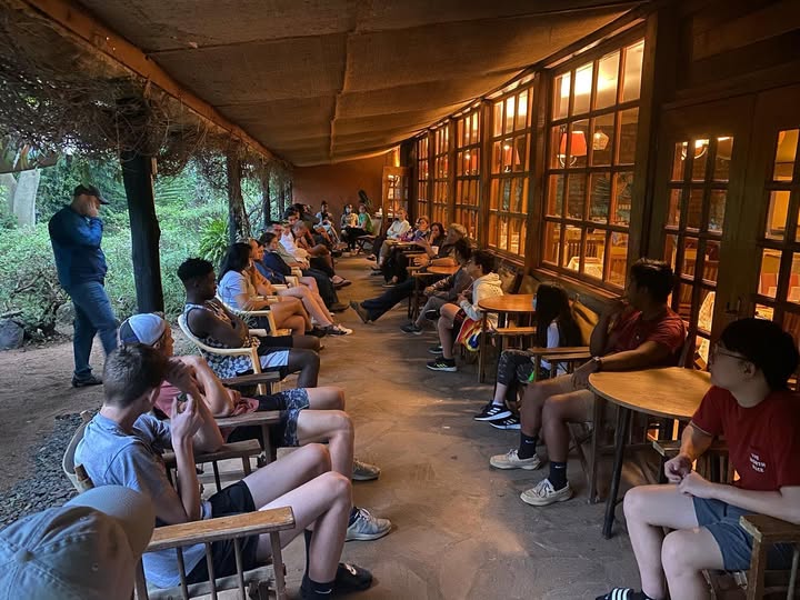 Board and governance practices